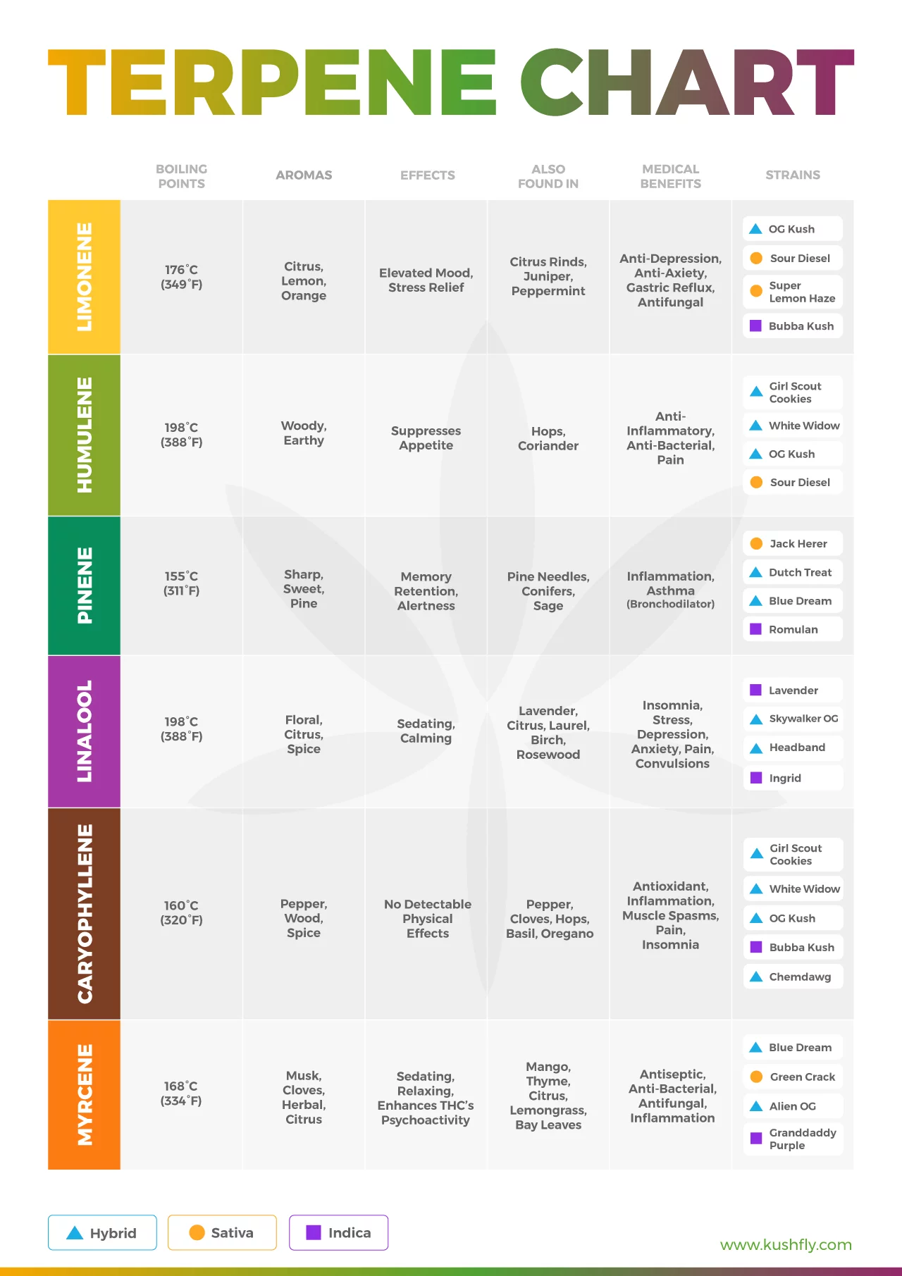 Cannabis Terpene Chart Influence on THC Effects