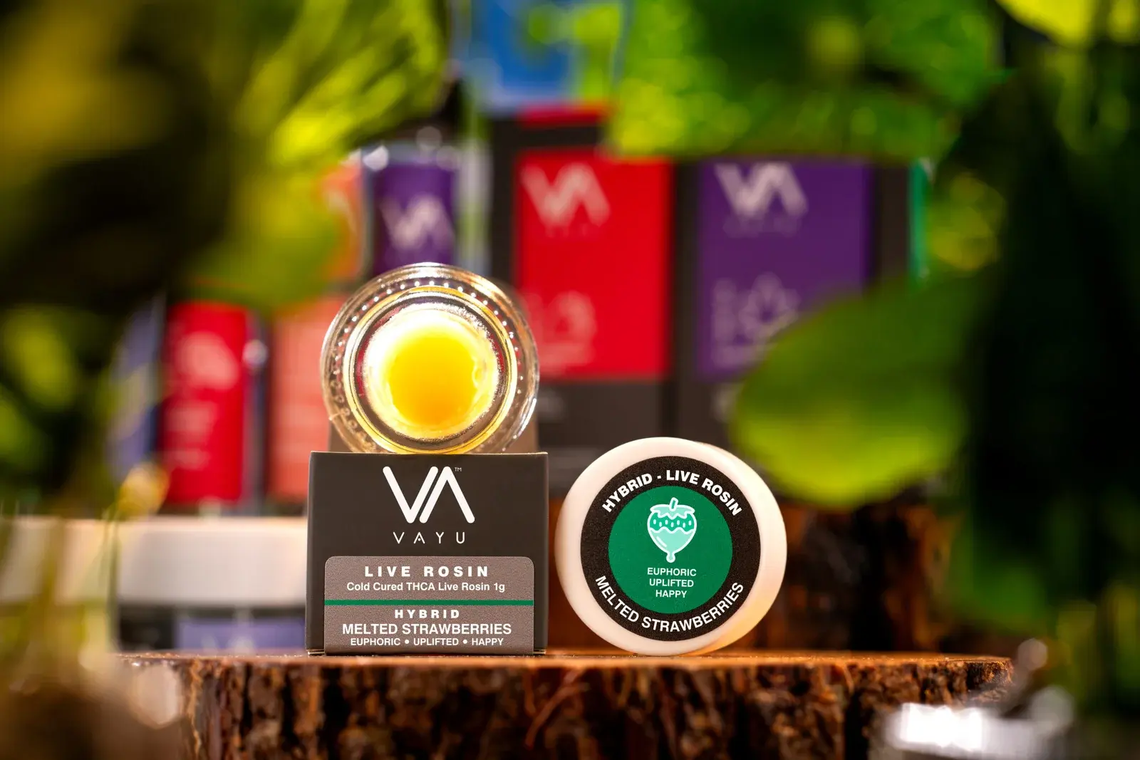 CONCENTRATE-HYBRID-Live-Rosin-Cold-Cured-Melted-Strawberries-scaled