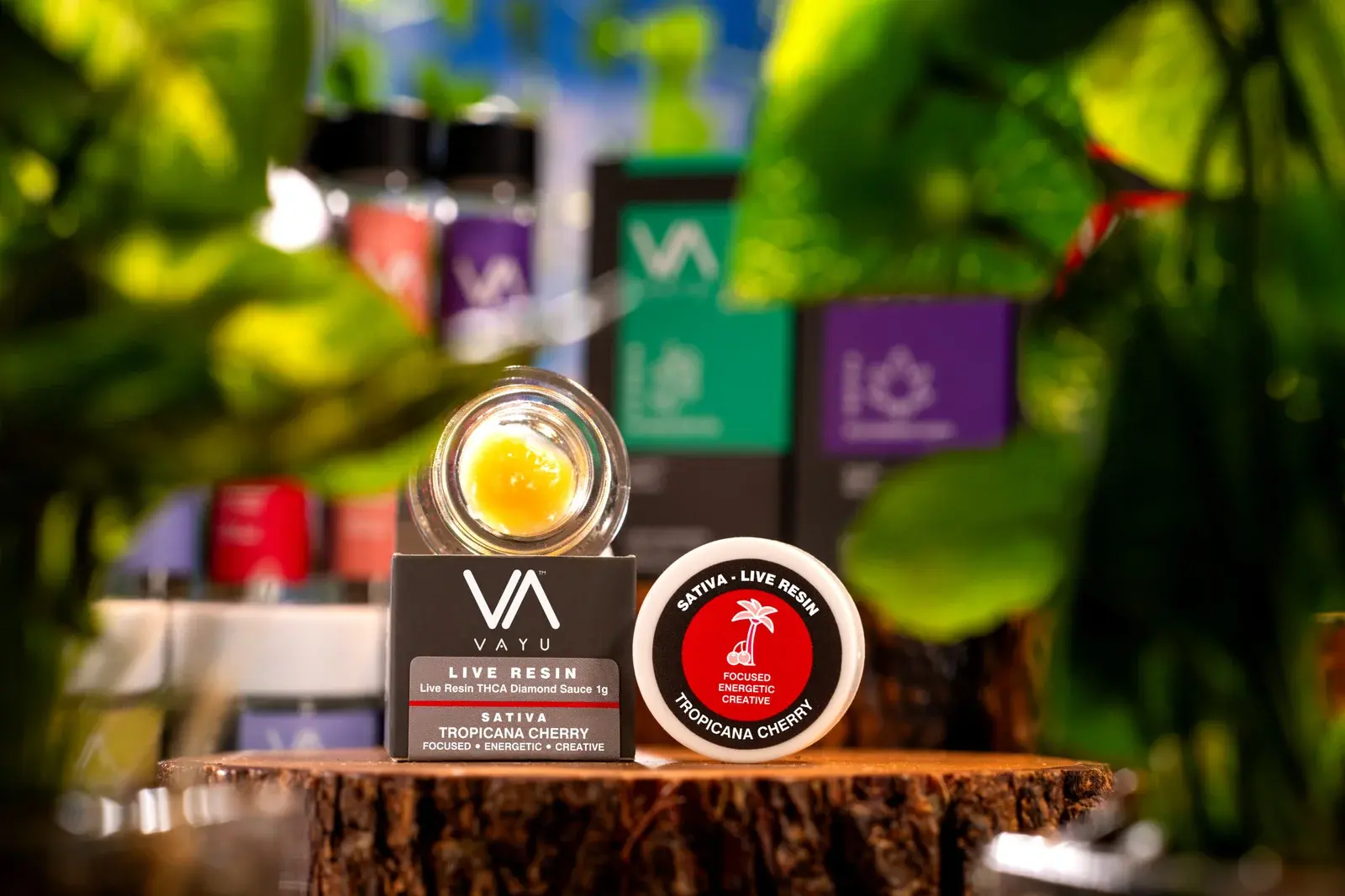 CONCENTRATE-SATIVA-Live-Resin-Diamond-Sauce-Tropicana-Cherry-scaled CONCENTRATE-SATIVA-Live-Resin-Diamond-Sauce-Tropicana-Cherry-scaled