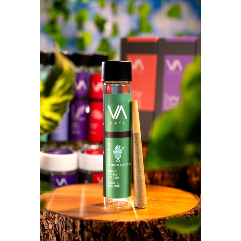 Lemon-Cherry-Gelato-Hybrid-THCA-Pre-Rolls-1g Lemon-Cherry-Gelato-Hybrid-THCA-Pre-Rolls-1g