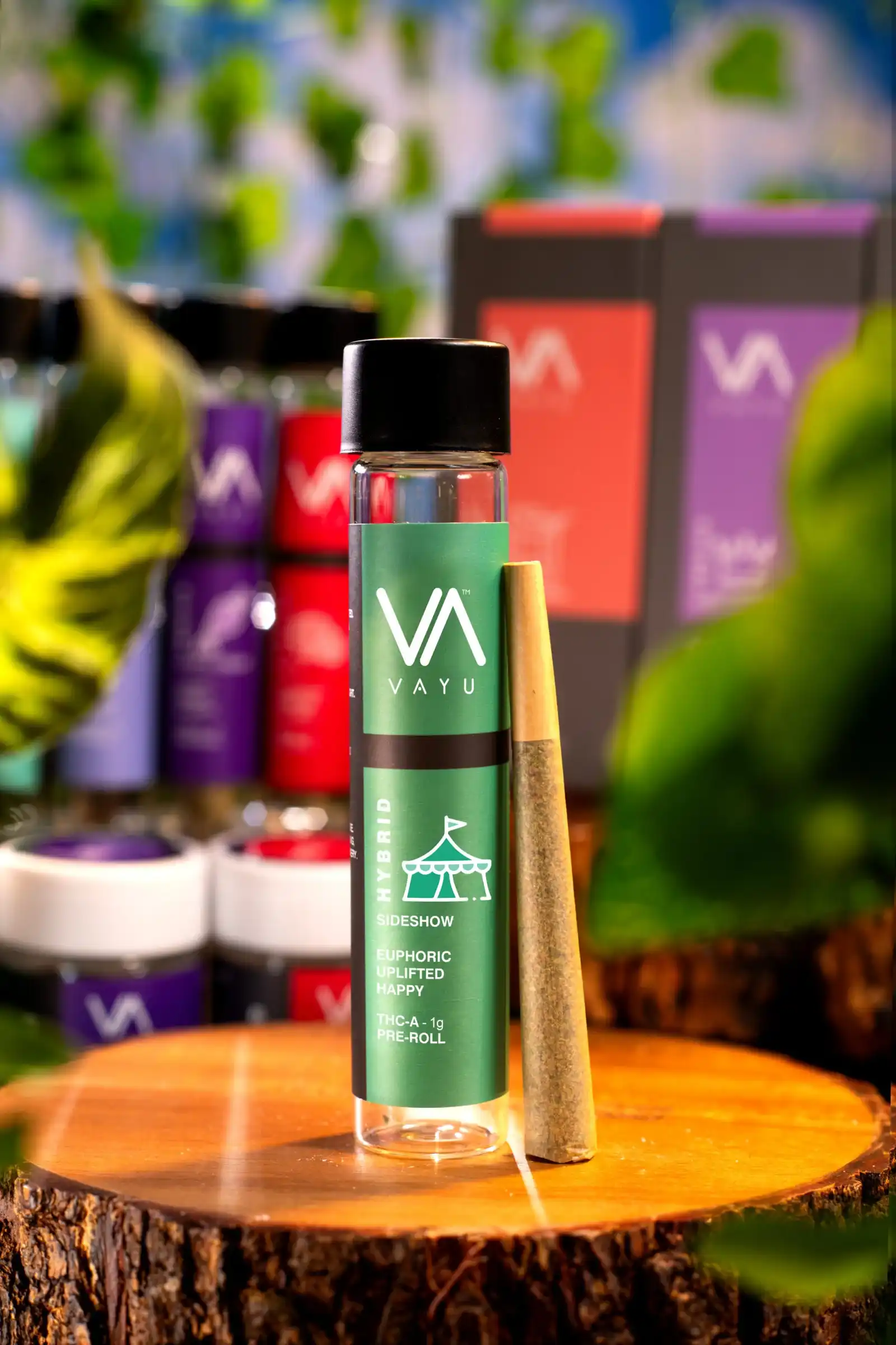 PREROLL-THCA-HYBRID-Sideshow-scaled PREROLL-THCA-HYBRID-Sideshow-scaled