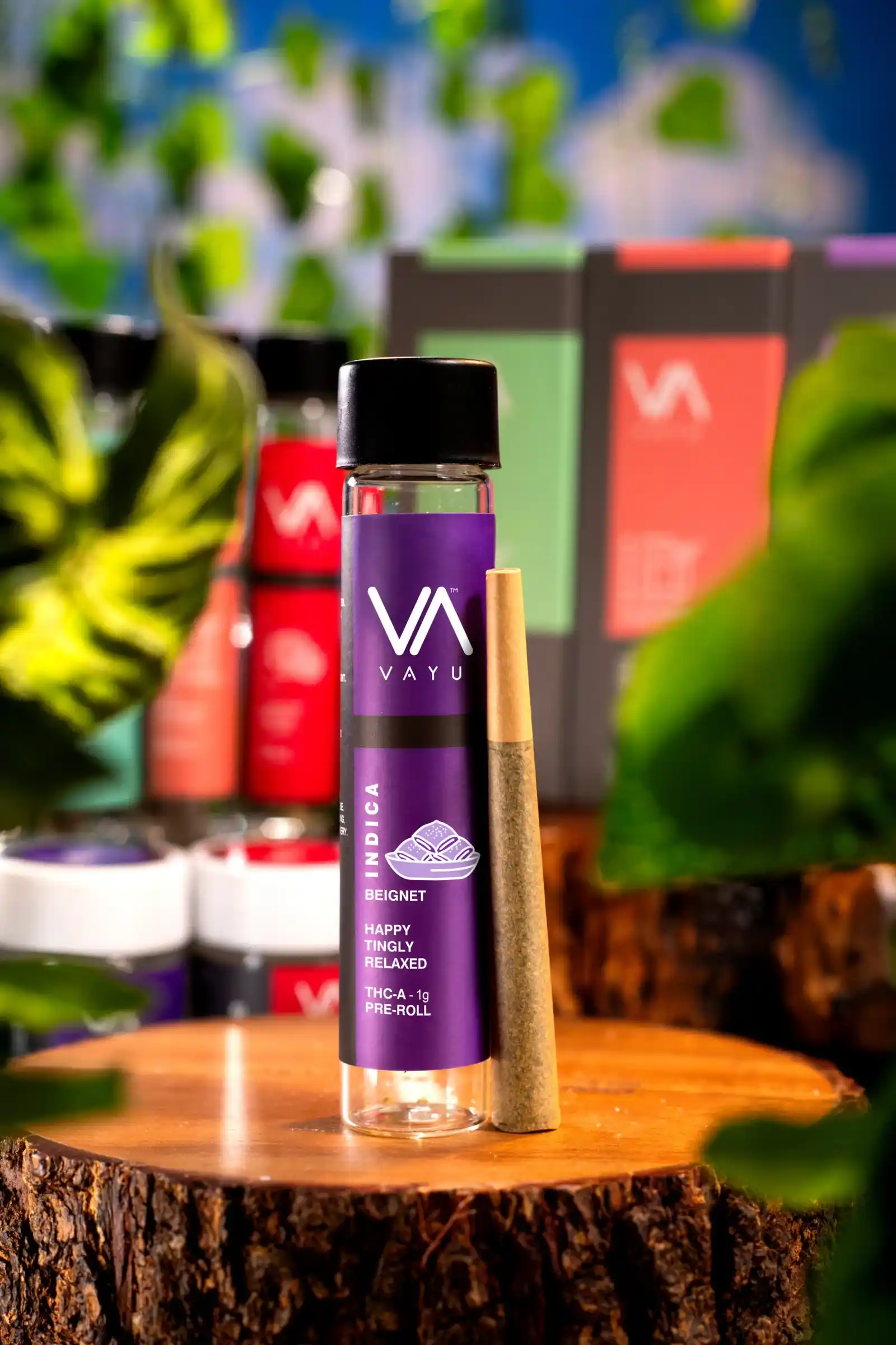 PREROLL-THCA-INDICA-Beignet-scaled PREROLL-THCA-INDICA-Beignet-scaled