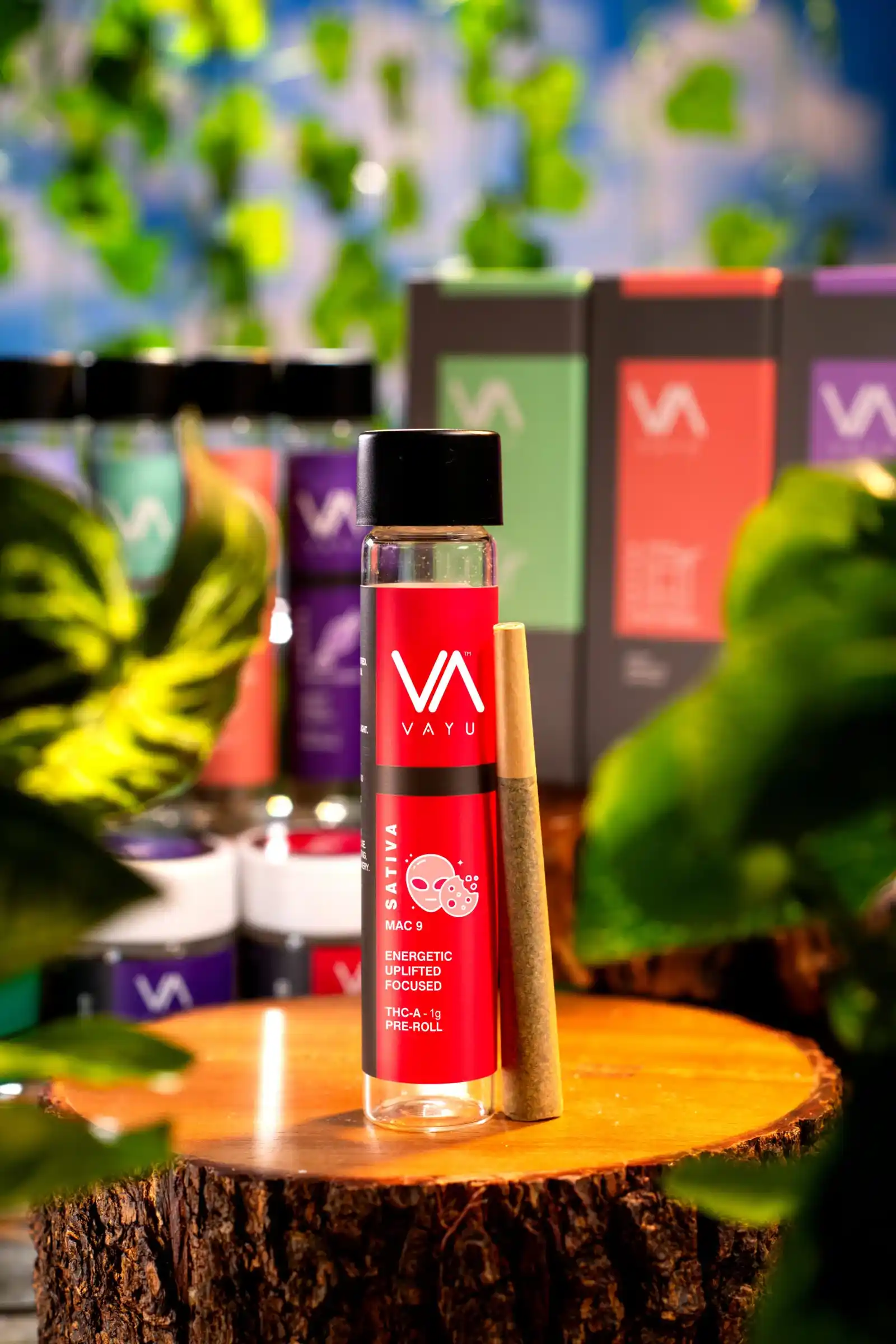 PREROLL-THCA-SATIVA-Mac9-scaled PREROLL-THCA-SATIVA-Mac9-scaled