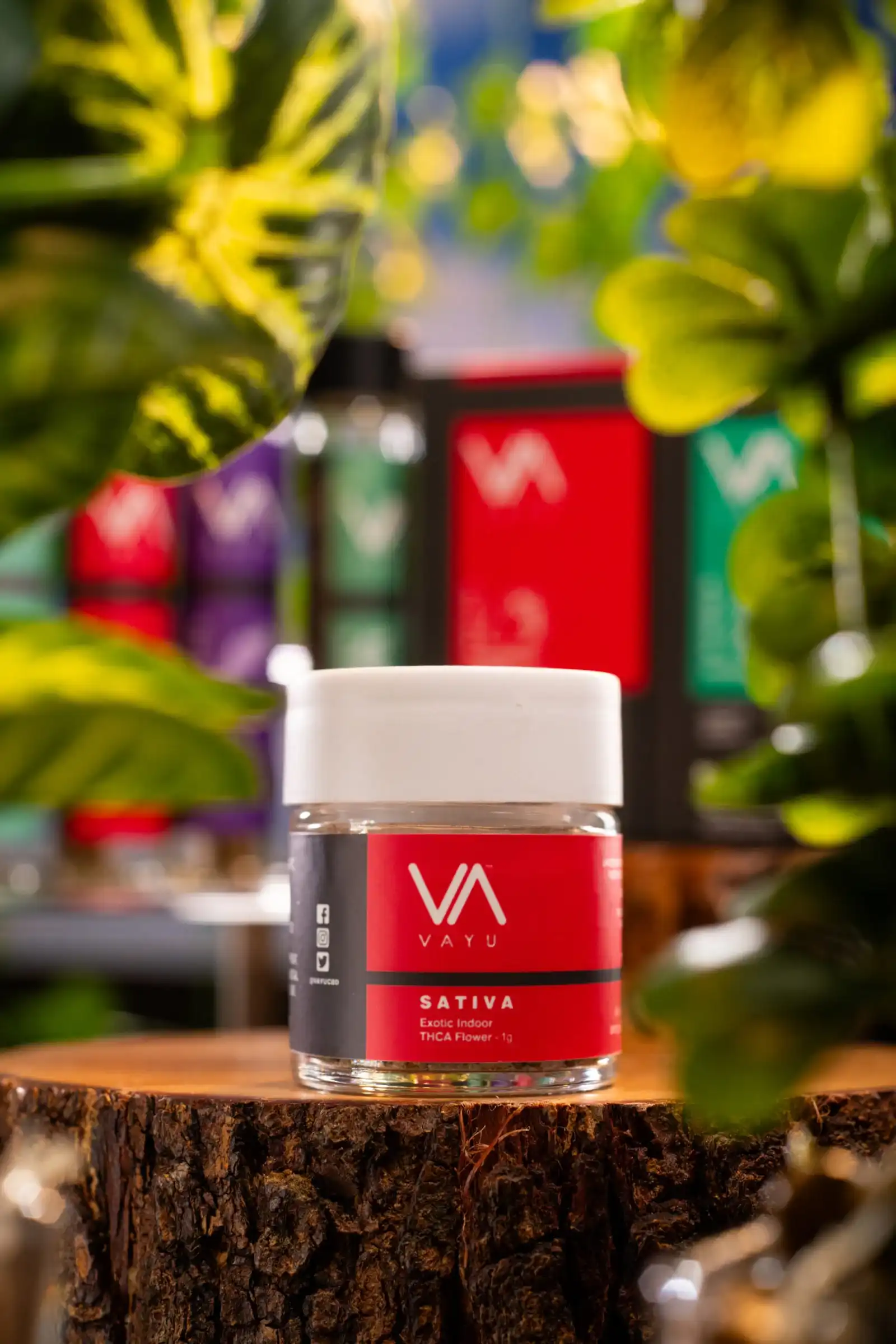 sativa-thca-flower-scaled sativa-thca-flower-scaled