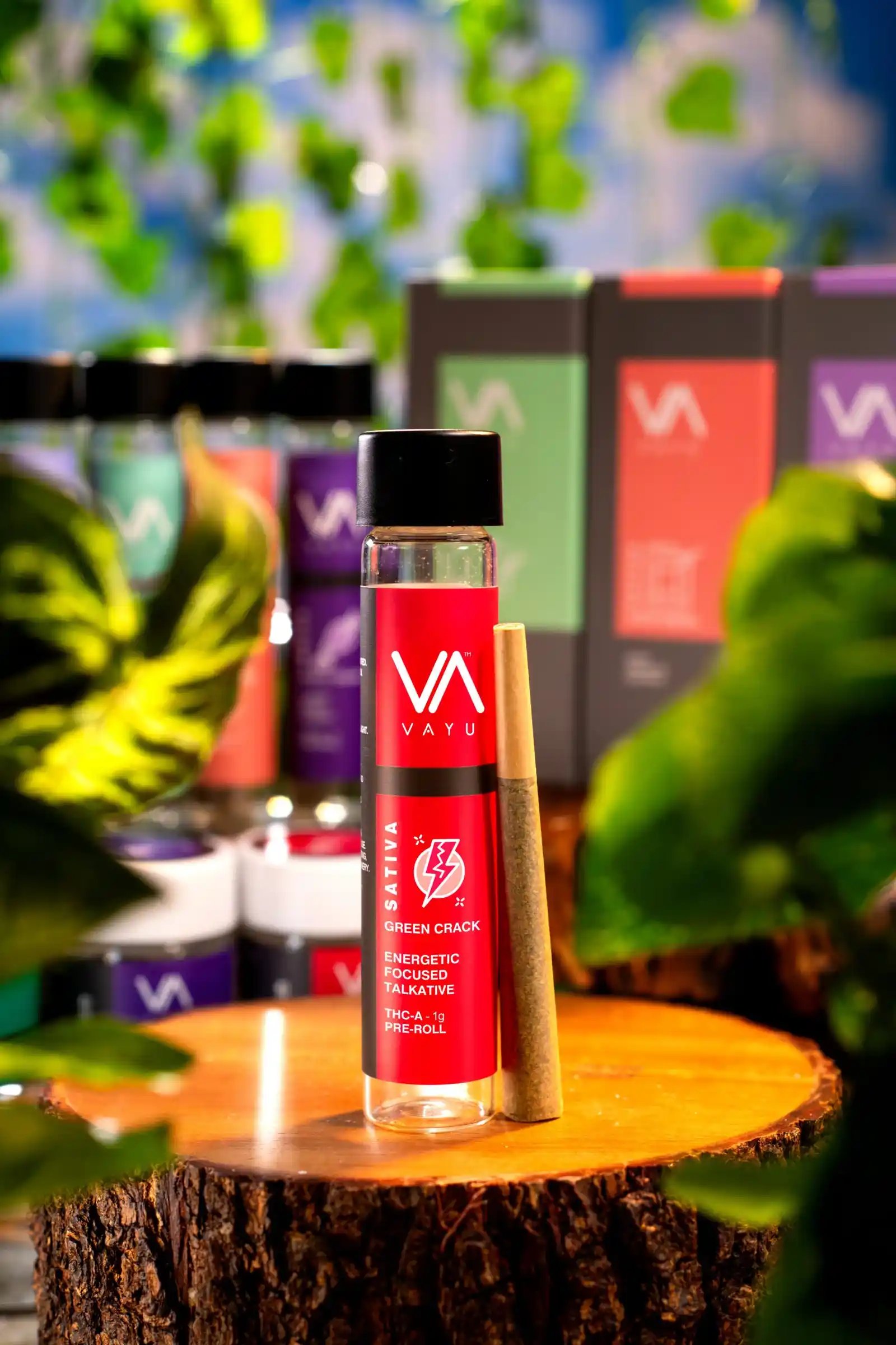 PREROLL-THCA-SATIVA-Green-Crack-scaled PREROLL-THCA-SATIVA-Green-Crack-scaled