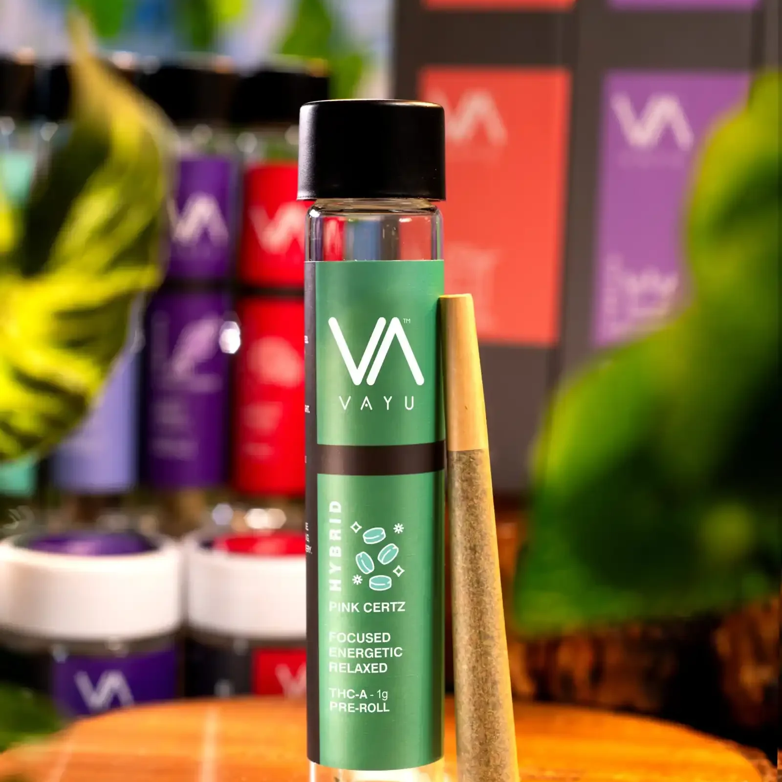 Pink Certz Strain – Hybrid – THCA Pre-Rolls