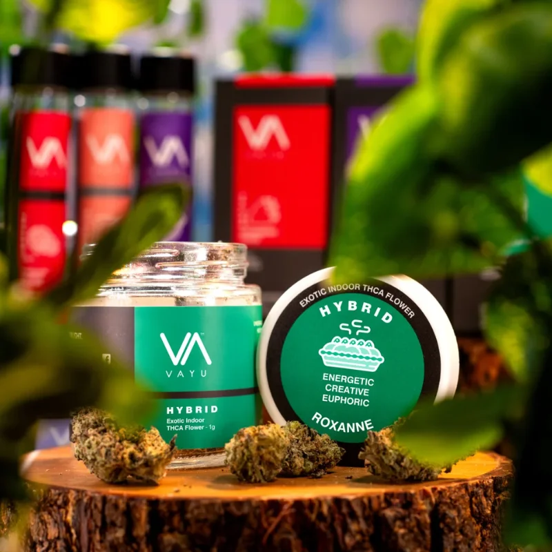Roxanne-–-Hybrid-–-Exotic-Boutique-Indoor-THCA-Flower Roxanne-–-Hybrid-–-Exotic-Boutique-Indoor-THCA-Flower