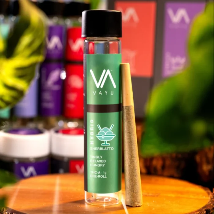 Sherblatto-THC-A-Pre-Roll