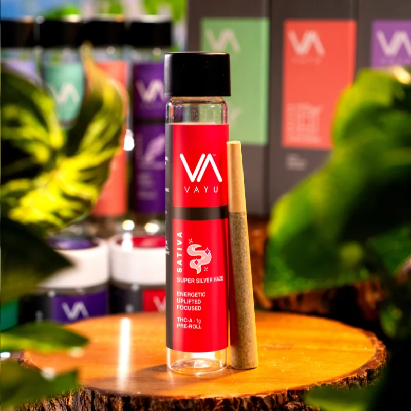 Super-Silver-Haze-THC-A-Pre-Roll Super-Silver-Haze-THC-A-Pre-Roll