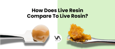 How Does Live Resin Compare To Live Rosin?