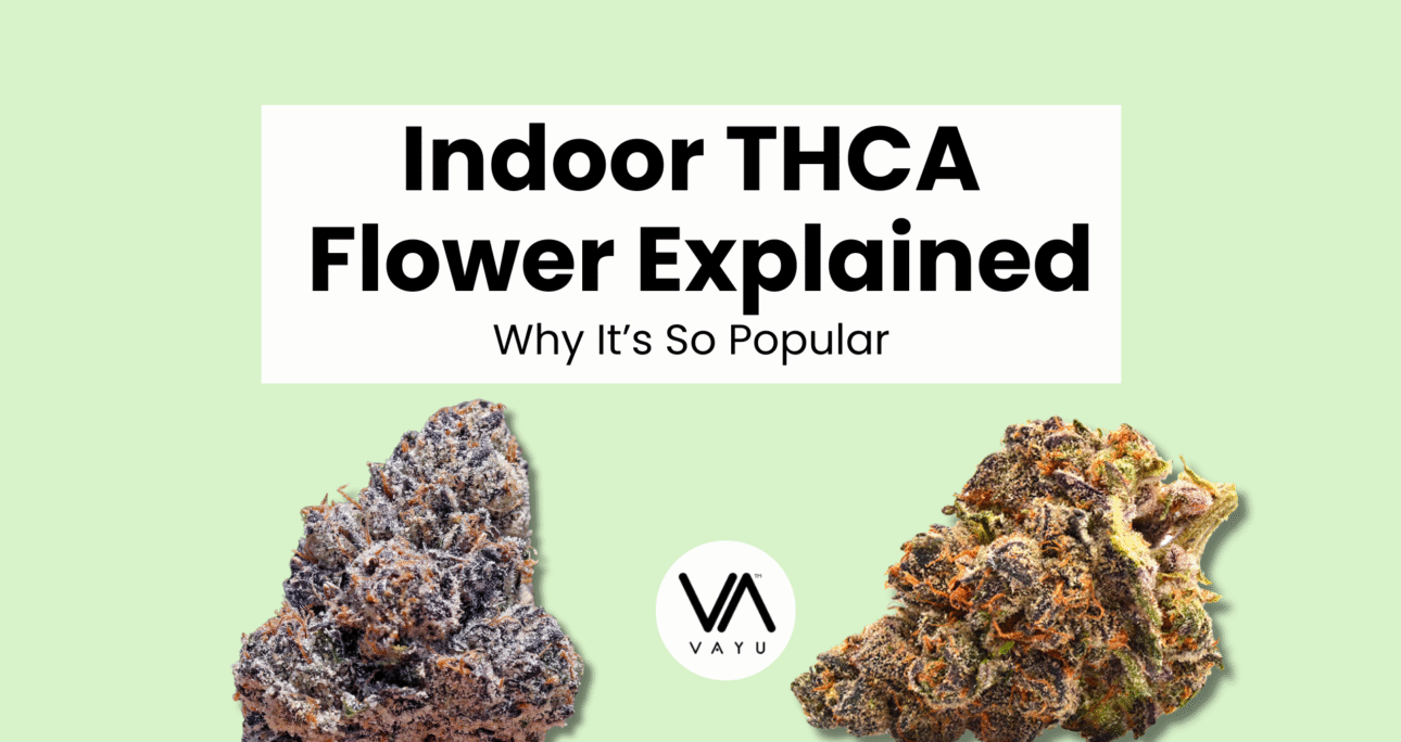 Indoor THCA Flower Explained: Why It’s So Popular