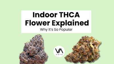 Indoor THCA Flower Explained: Why It’s So Popular