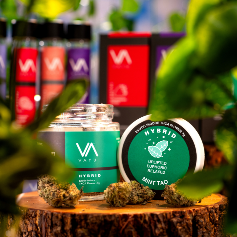 Mint Tao - Hybrid - Exotic Boutique Indoor THCA Flower - 7G