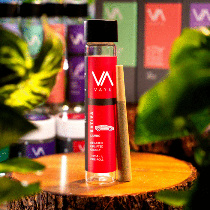 Lambo Sativa THCA Pre-Roll 1g
