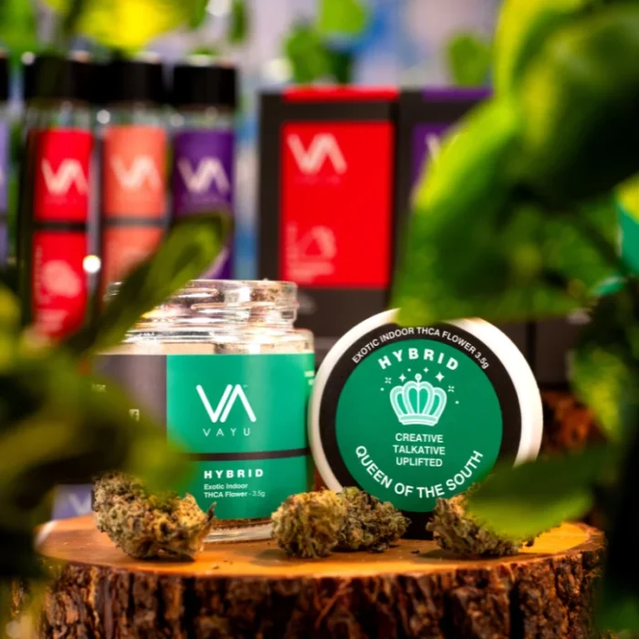 queen-of-the-south-hybrid-exotic-boutique-indoor-thca-flower-3-5g