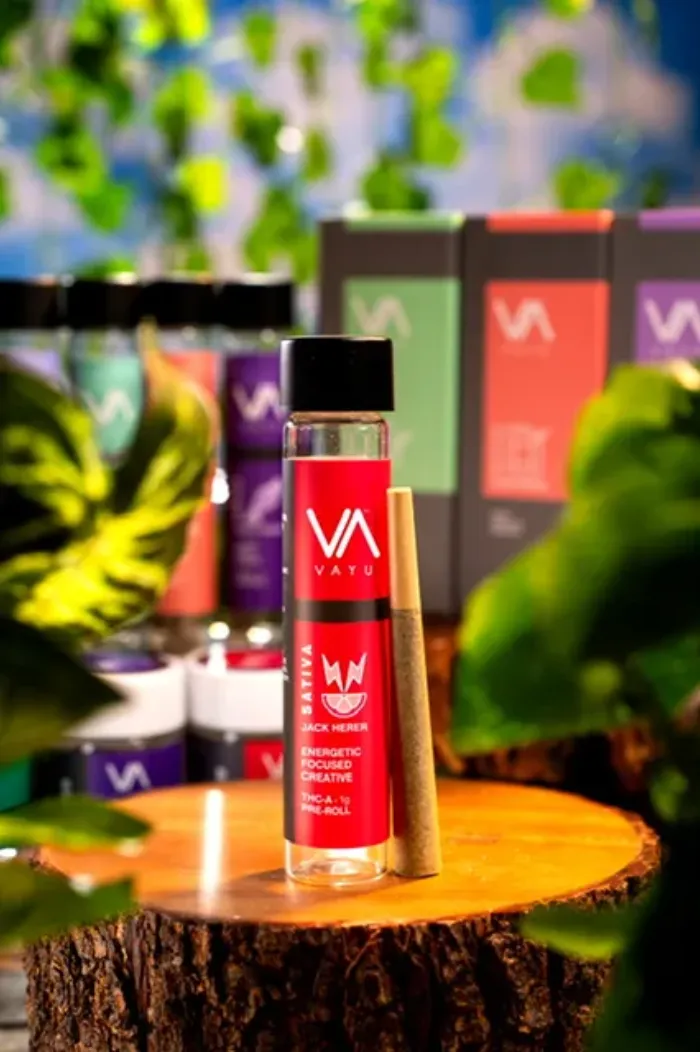 Jack Herer – Sativa – THCA Pre Roll