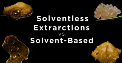 Solvent vs Solventless Extractions