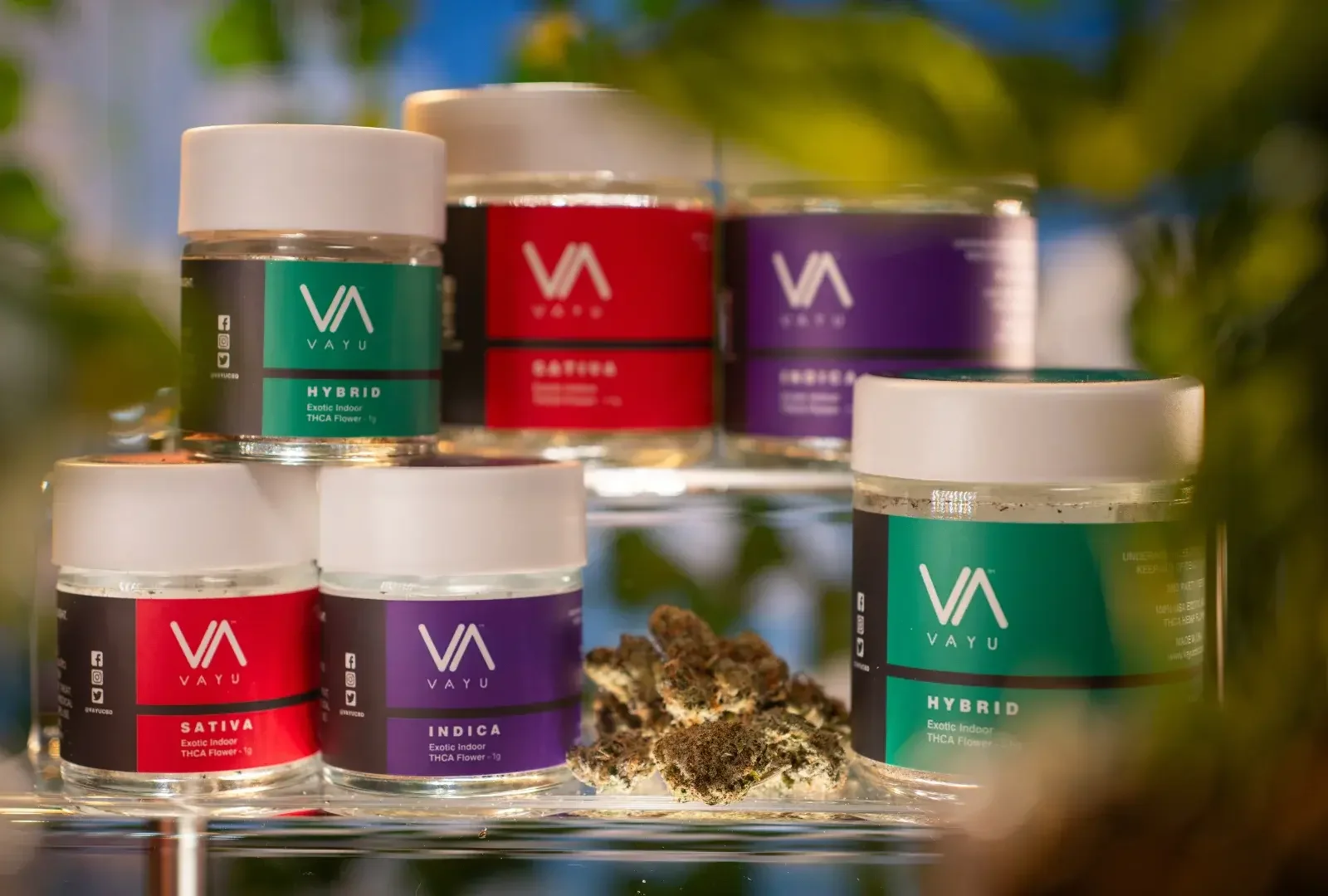 Cannabinoids
