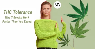 THC Tolerance: Why T-Breaks Work Faster Than You Expect