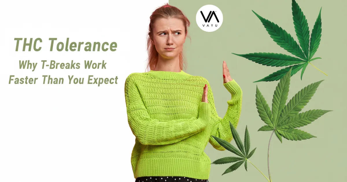 THC Tolerance