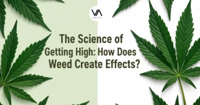 The Science of Getting High: How Does Weed Create Effects?