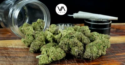 What THC Detox Really Mean