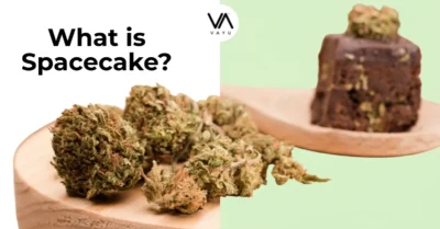 What is Spacecake?