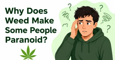 Why Does Weed Make Some People Paranoid?