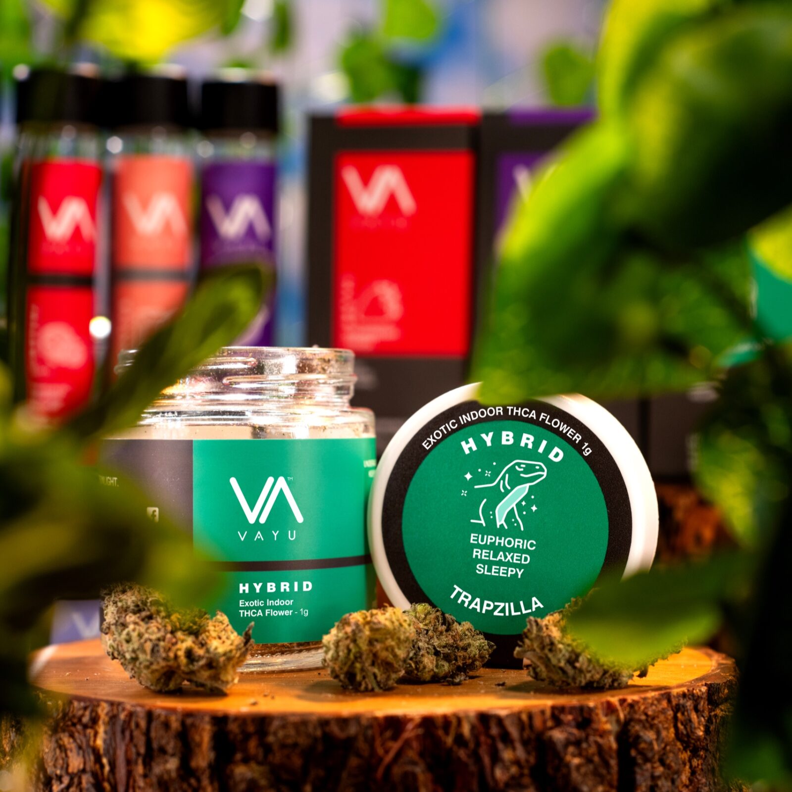 Trapzilla Hybrid THCA Flower – VAYU