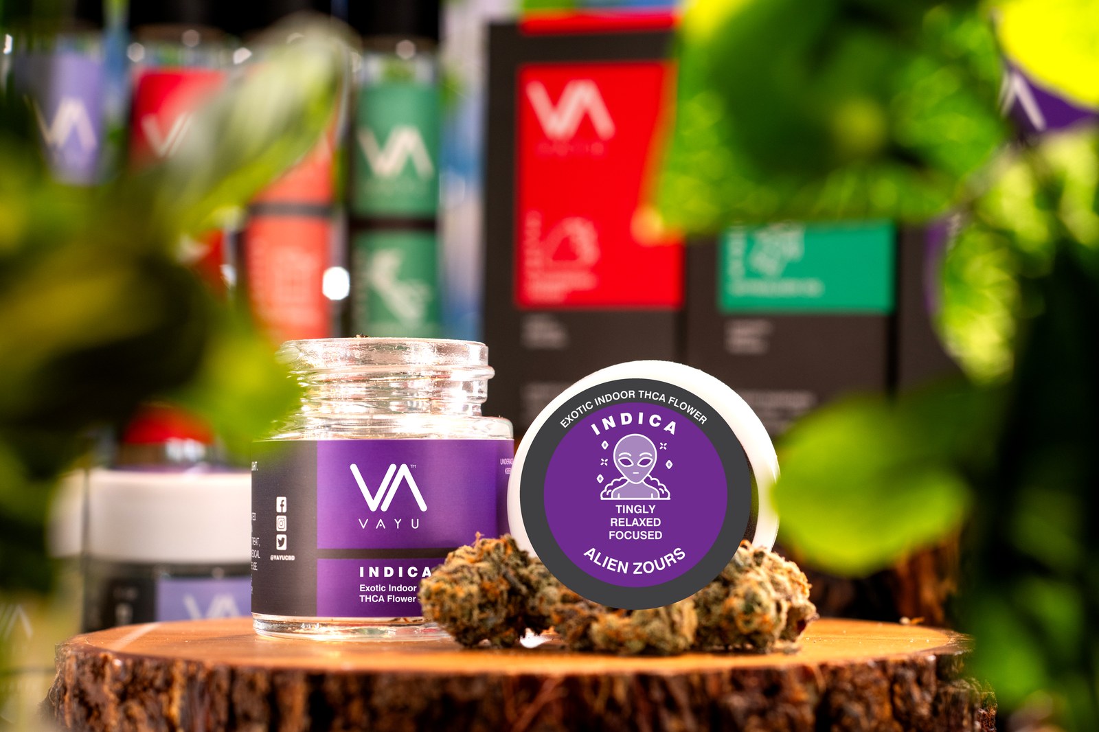 Jar labeled VAYU Indica cannabis flower on a wooden stump, with a purple circular label reading 'Indica Tingly Relaxed Focused Alien Zours'.