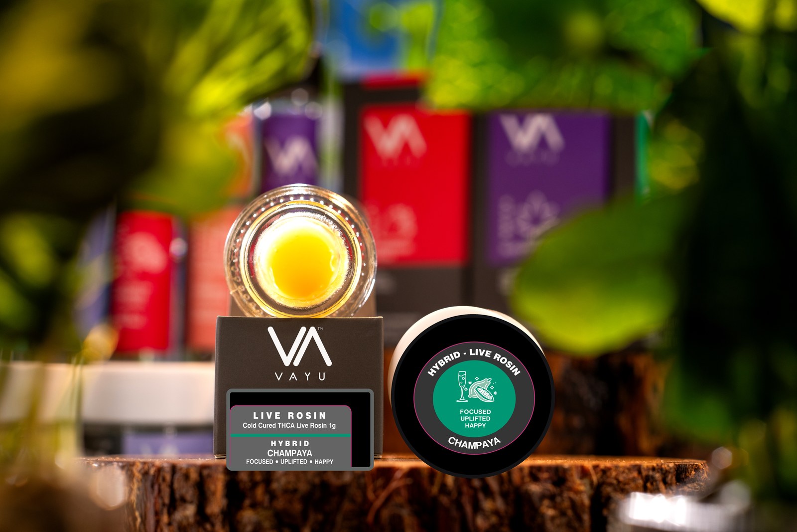 Jar of live rosin concentrate with a yellow center, labeled VAYU Live Rosin in front of colorful packaging.",