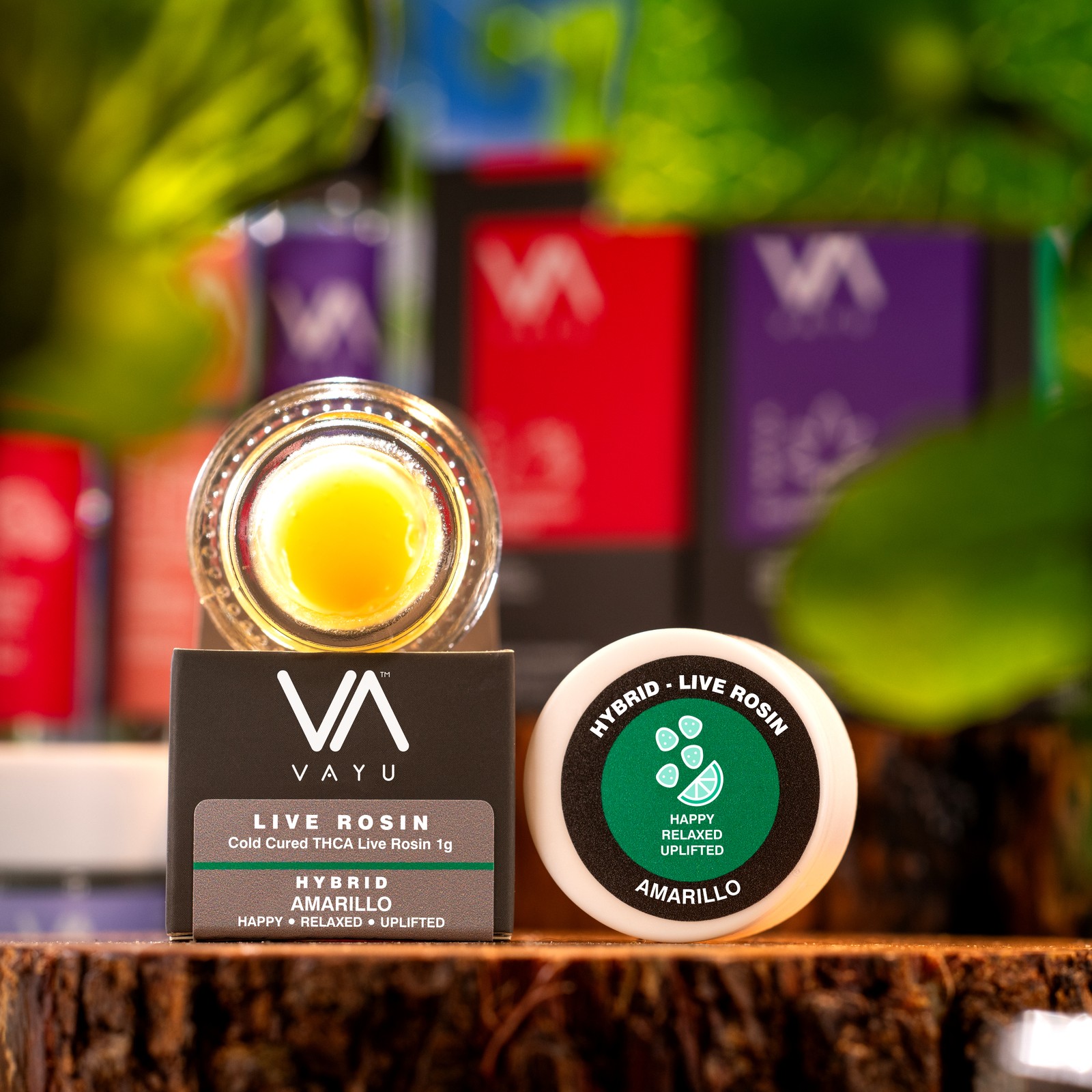 Product image for Amarillo Strain - Hybrid - Cold Cured THCA Live Rosin