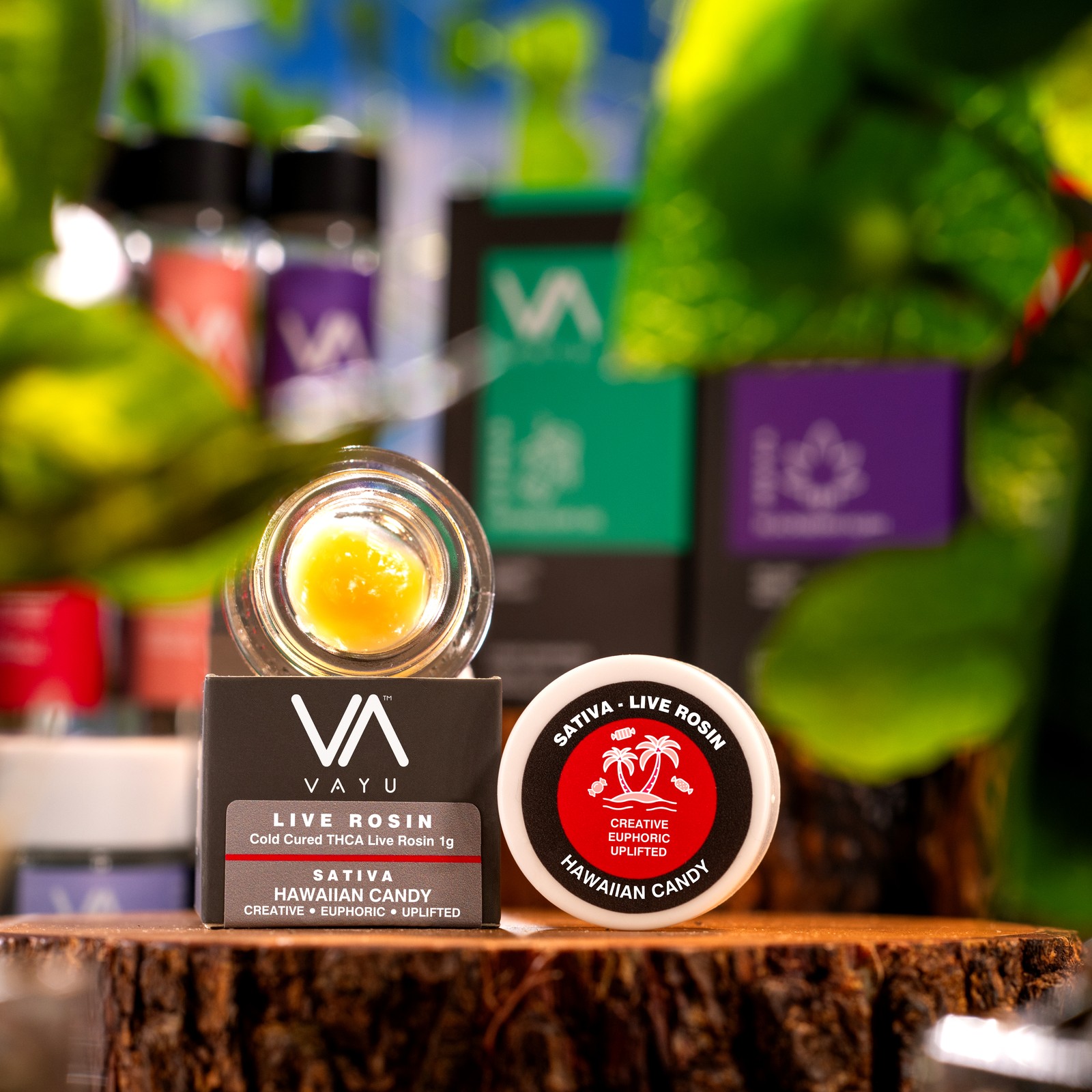 Product image for Hawaiian Candy Strain - Sativa - Cold Cured THCA Live Rosin