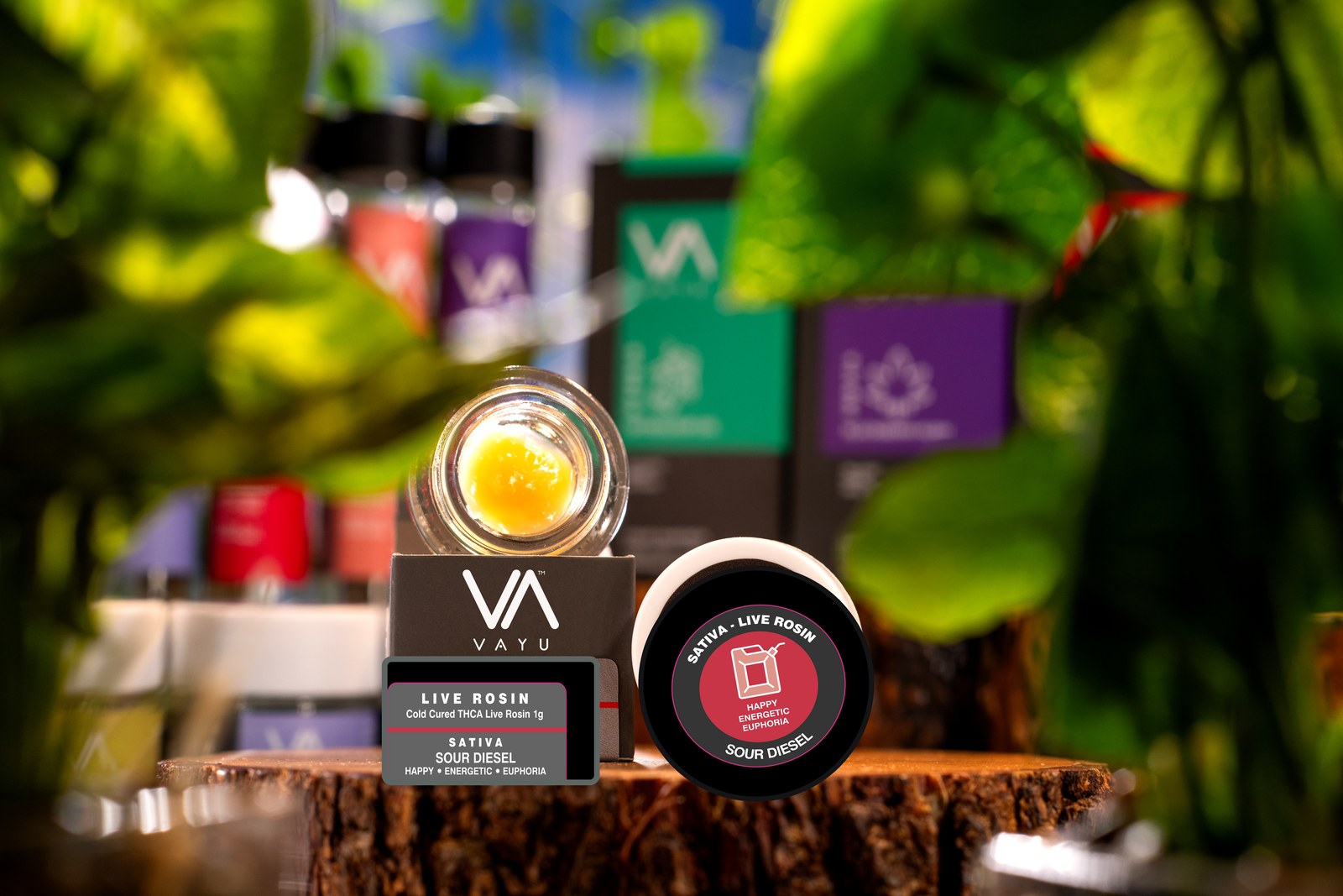 Sour Diesel strain sativa cold cured THCA live rosin jar