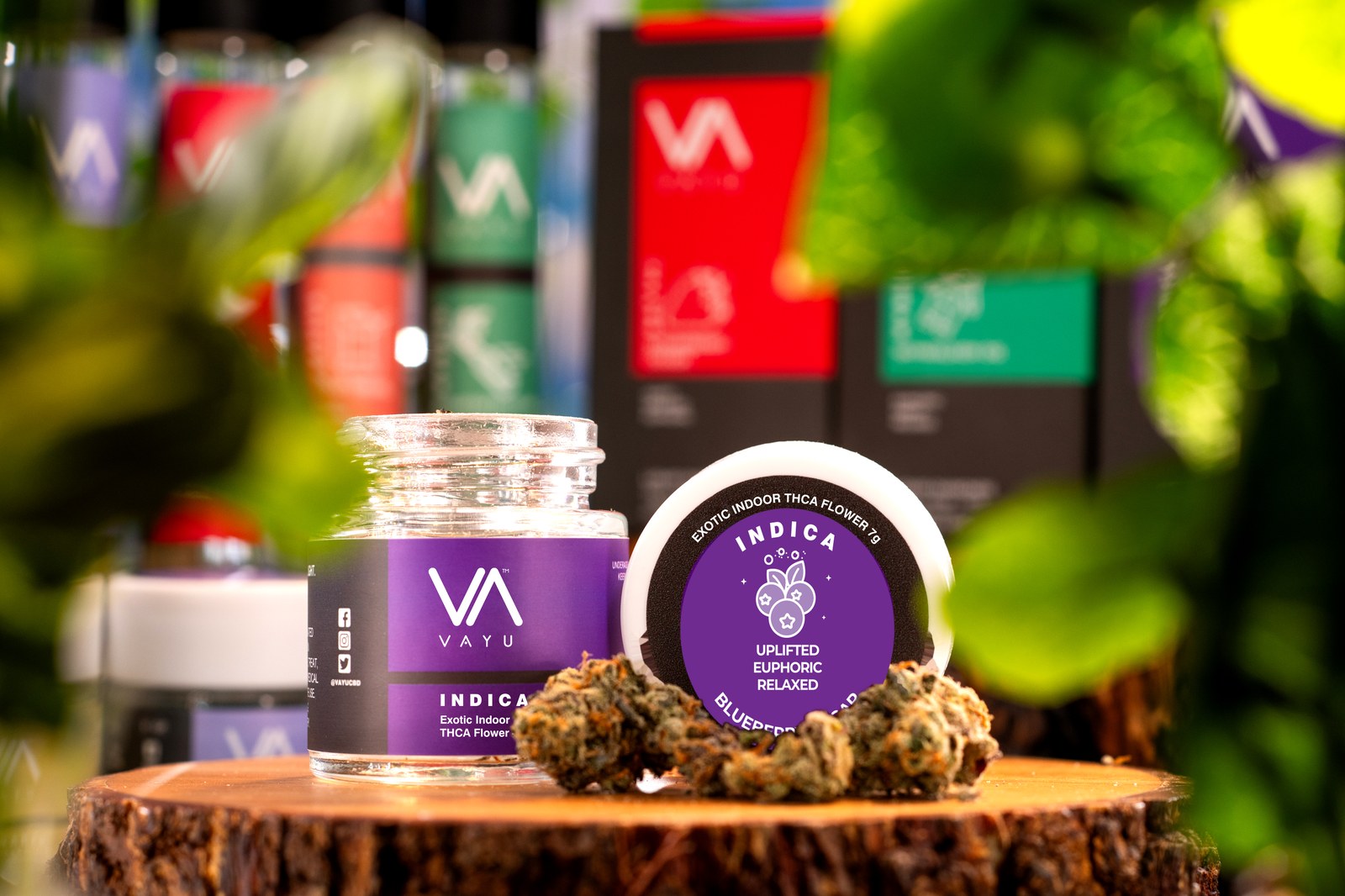 Blueberry Sugar Strain - Indica - Exotic Boutique Indoor THCA Flower