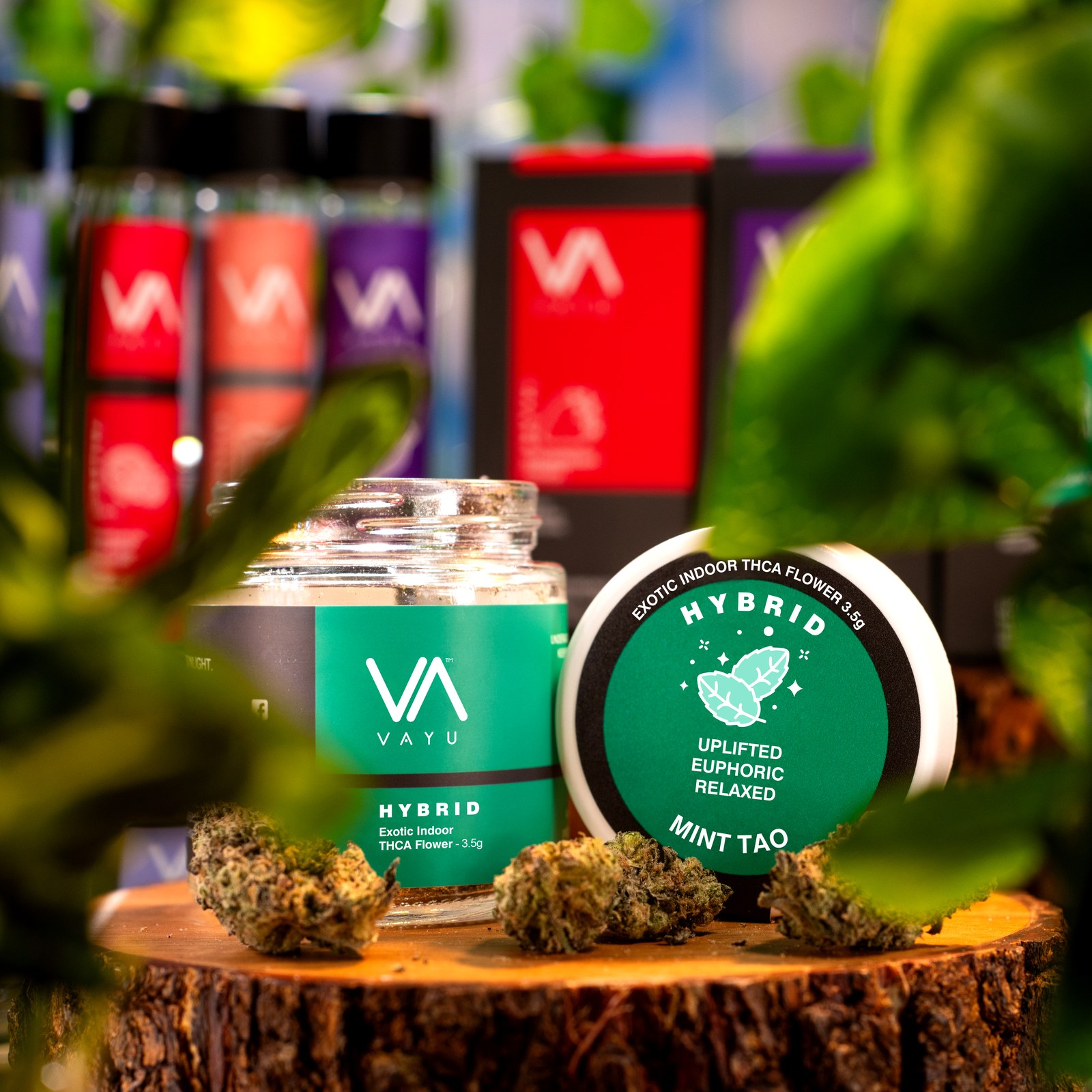 Product image for Mint Tao Strain - Hybrid - Exotic Boutique Indoor THCA Flower