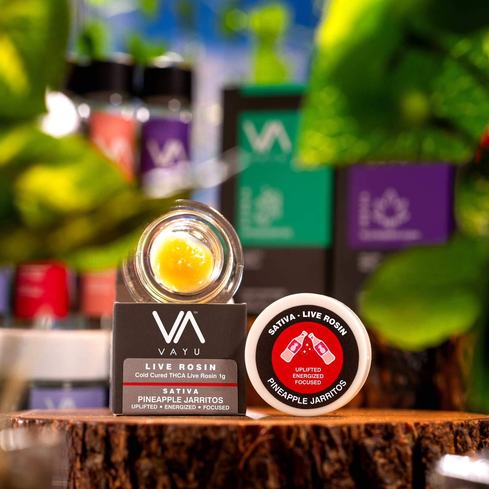 Pineapple Jarritos Strain - Sativa - Cold-Cured THCA Live Rosin