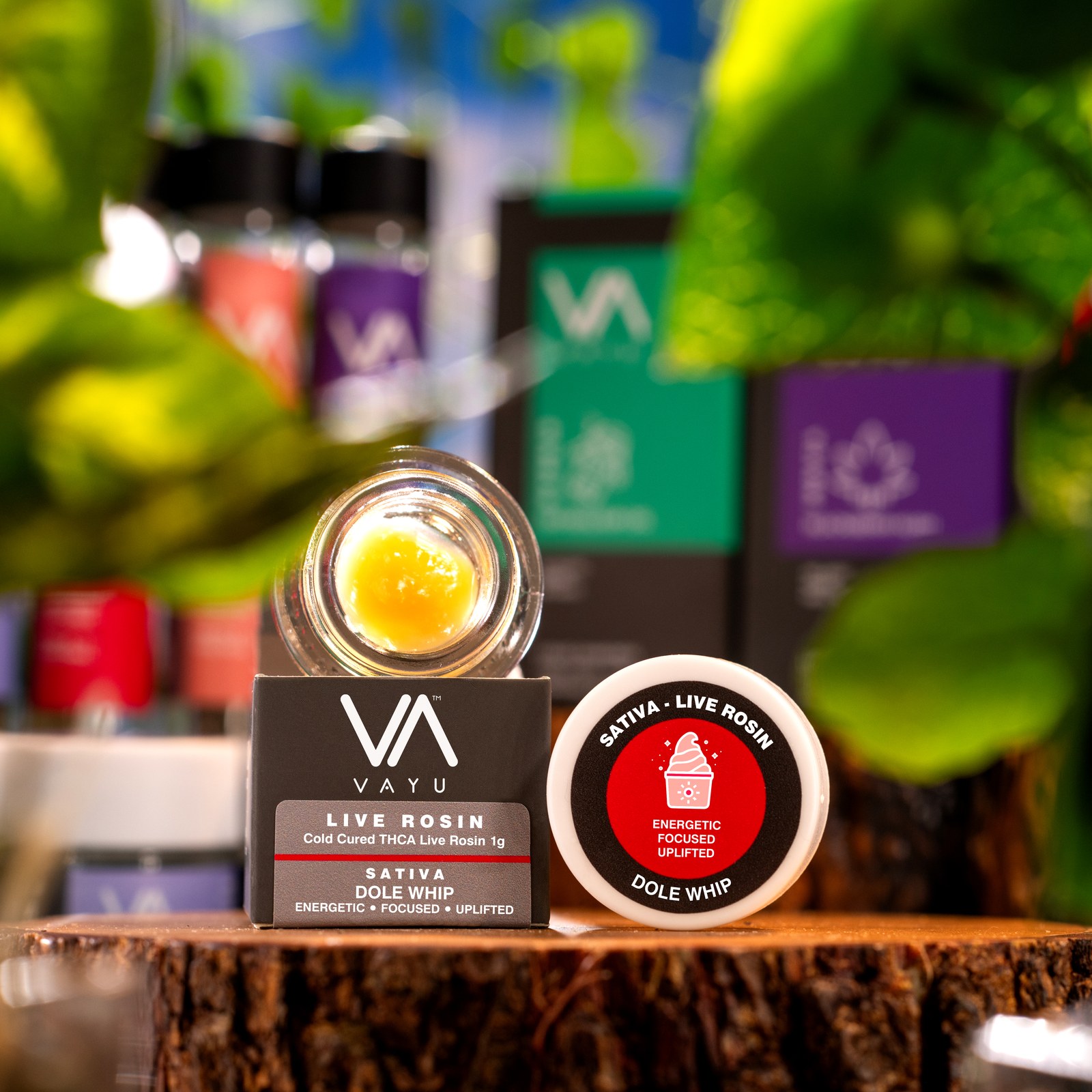 Dole Whip Strain – Sativa – Cold Cured THCA Live Rosin