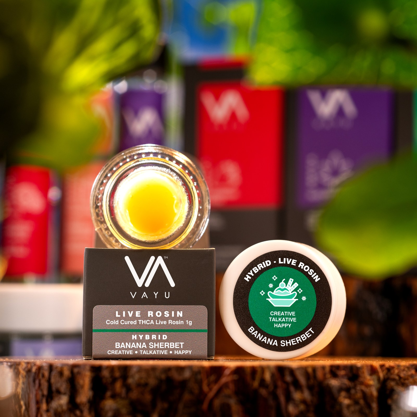 Banana Sherbet – Hybrid – Cold Cured THCA Live Rosin