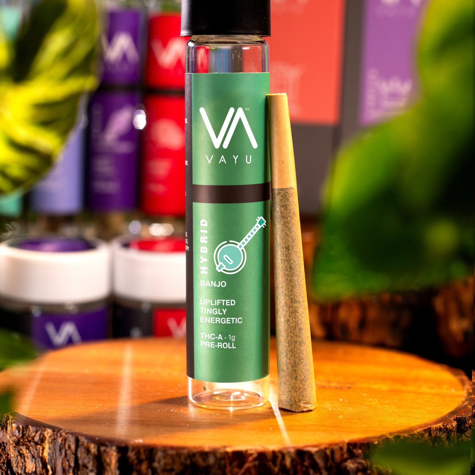 Product image for Banjo Strain – Hybrid – THCA Pre-Rolls (1g)